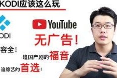 国产TUbe,引领科技潮流的创新力量