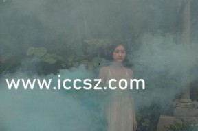 国产中文字幕不卡在线