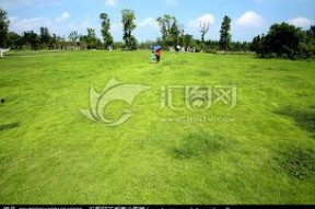 青青青草国产免费,国产影视的清新之作